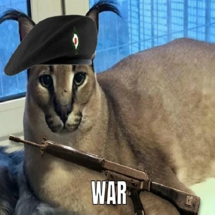Big Floppa - WAR