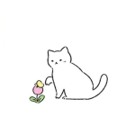 LovelyKitty