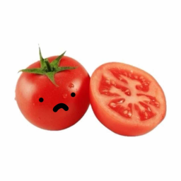 ˚ . ・ 🍅 ・ . ˚ 🥬 ♡