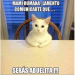 Nmms we