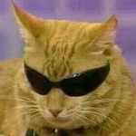 cats for kool kids lol