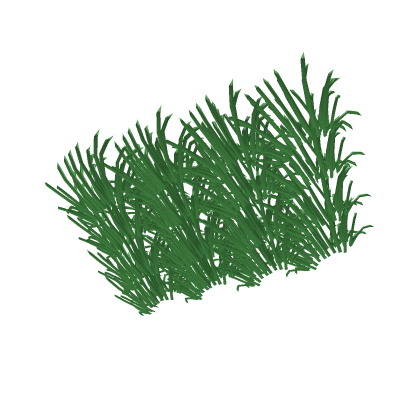 grass: low quality