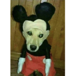 Hispano