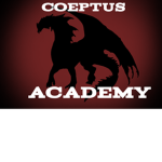 CA Academy
