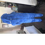 Blue hedgehog movie sonic