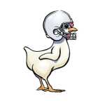 The Holy Church of Chicken Football
