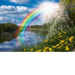 The Rainbow Sprinkles