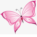 The butterfly's Group Chat