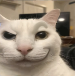 GWAKITTIE