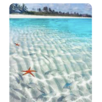 Ova’s beaches group
