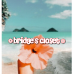 - bridge’s closet -