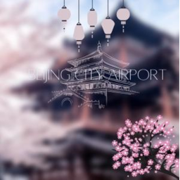Beijing City Airport