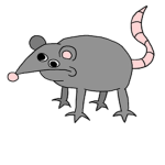 :Rats fan club: