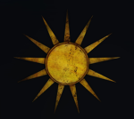 The Sun's Order