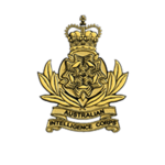 AMRA Intelligence corps