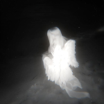 FA1l3N