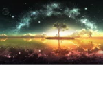 New life fan group