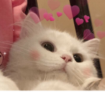 *L0V3LY*