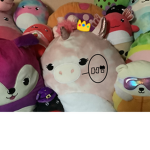 The squish mellow group