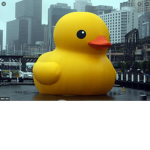 DUCK INCORPORATION