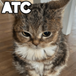 AusZEE'S Terrible Clothing