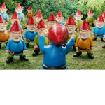 gnome gang group