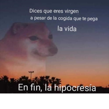 Shhipuden Ninja beta