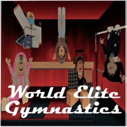 World Elite Gymnastics Private gym