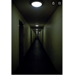 TheDarkHallGroup