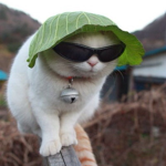 Ur Mom Cloths