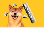 Doge History.