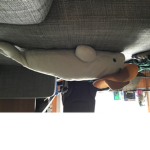 The cowboy whales