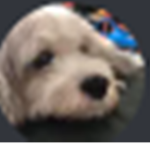 EddysFiteBack