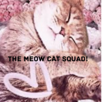 The Meow Cat Squad