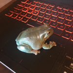 Froggo Games