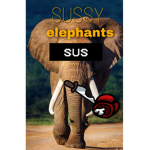 SUSSY ELEPHANTS!