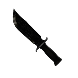Coal