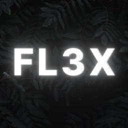 World of FL3X