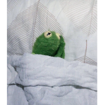 Kermit’s Clothing