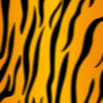 TeamTiger_