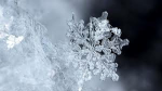 Frostbite Storm