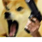 Doges and more