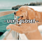 - Lily’s closet! -