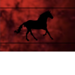 + Red Moons Equestrian +