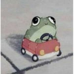F R Ø G