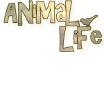 Life Group for Everyone
