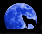 Moon Raiders