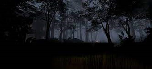 Der Wald ... Zukunft ...