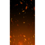 THEFIREBULLS