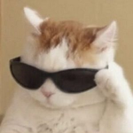 Fabulous_Clothes